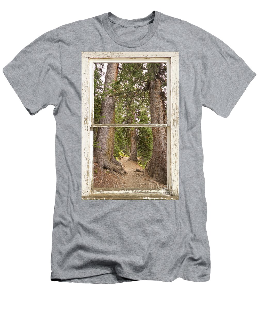Forest T-Shirt featuring the photograph Rocky Mountain Forest Window View by James BO Insogna