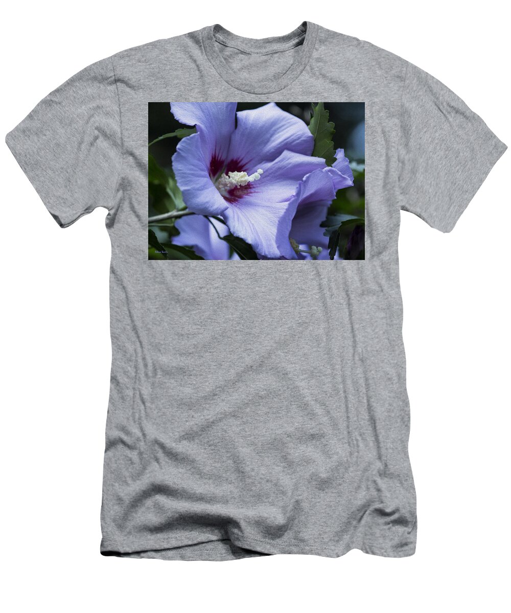 Rose Of Sharon T-Shirt featuring the photograph Rose of Sharon by Rebecca Samler