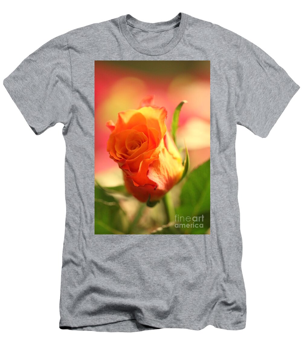 Background T-Shirt featuring the photograph Rose on pink background II by Amanda Mohler