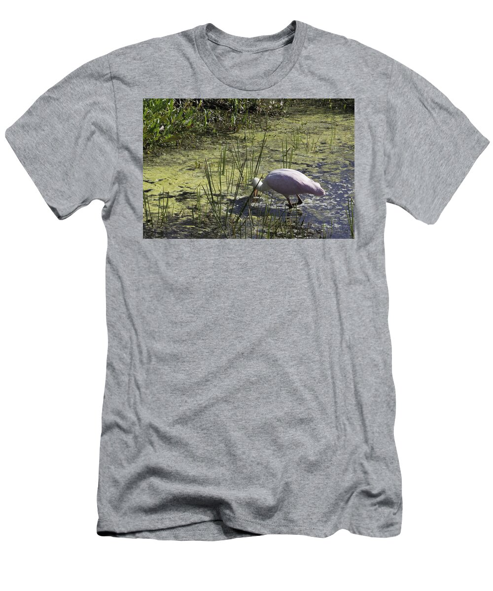 susan Molnar T-Shirt featuring the photograph Roseate Spoonbill V by Susan Molnar