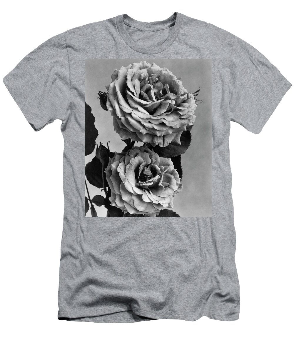 Flowers T-Shirt featuring the photograph Roses by J. Horace McFarland