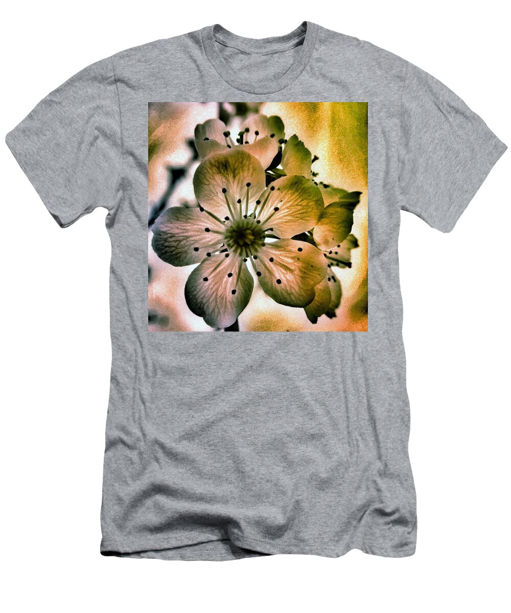 Cherry T-Shirt featuring the photograph Sakura - Cherry Blossom by Marianna Mills
