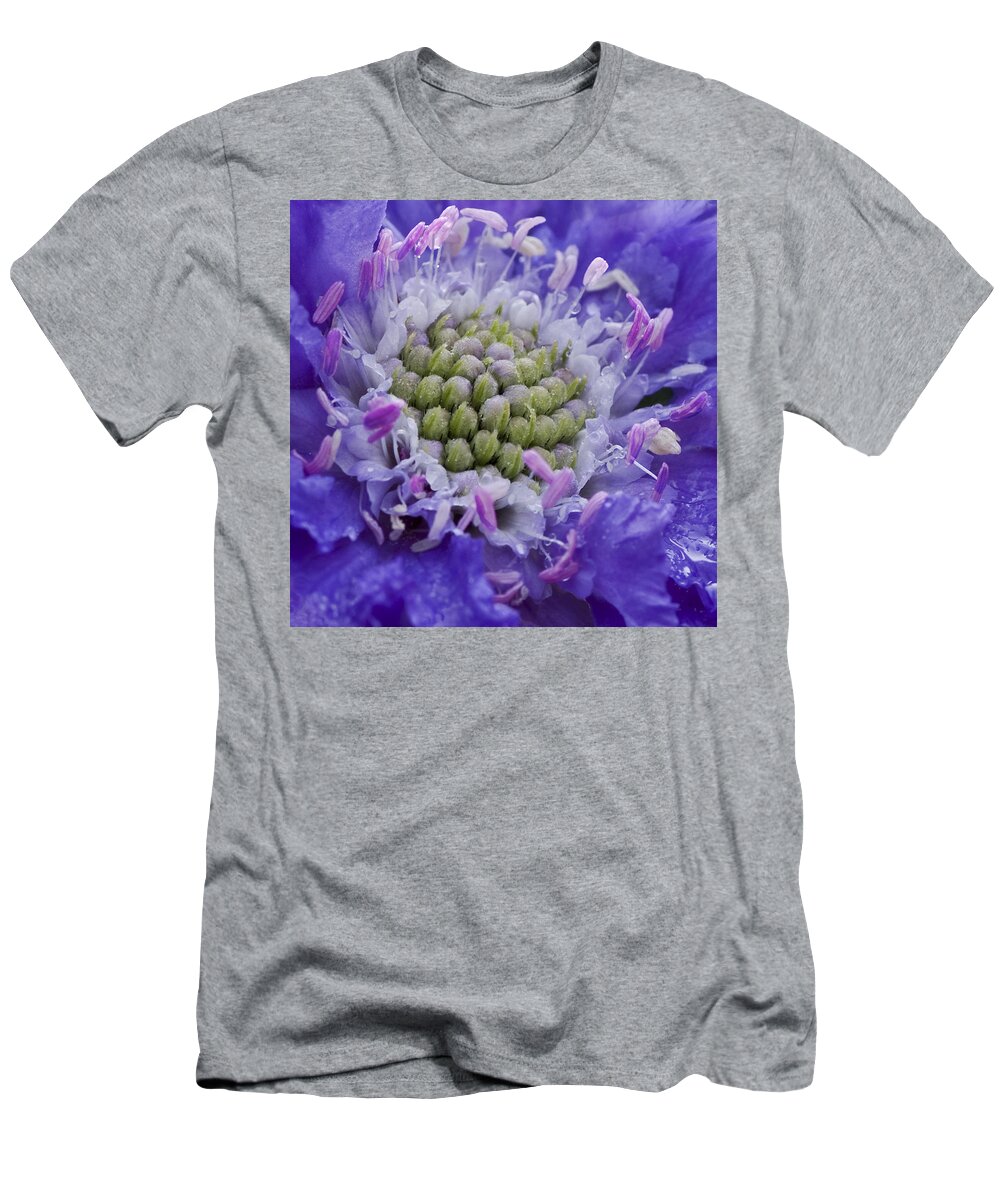 Scabiosa Print T-Shirt featuring the photograph Scabiosa by Diane Fifield