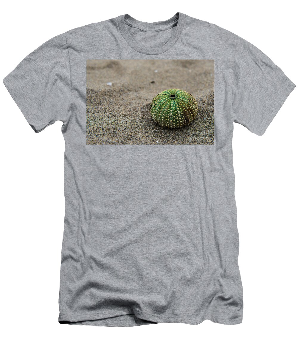 Friaul-julisch Venetien T-Shirt featuring the photograph Sea Urchin by Hannes Cmarits