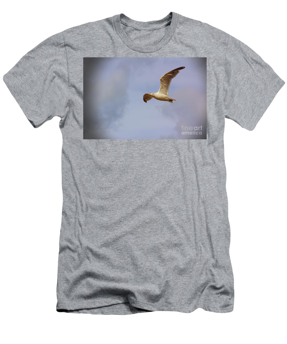 Tenby T-Shirt featuring the photograph Seagull in Flight by Jeremy Hayden