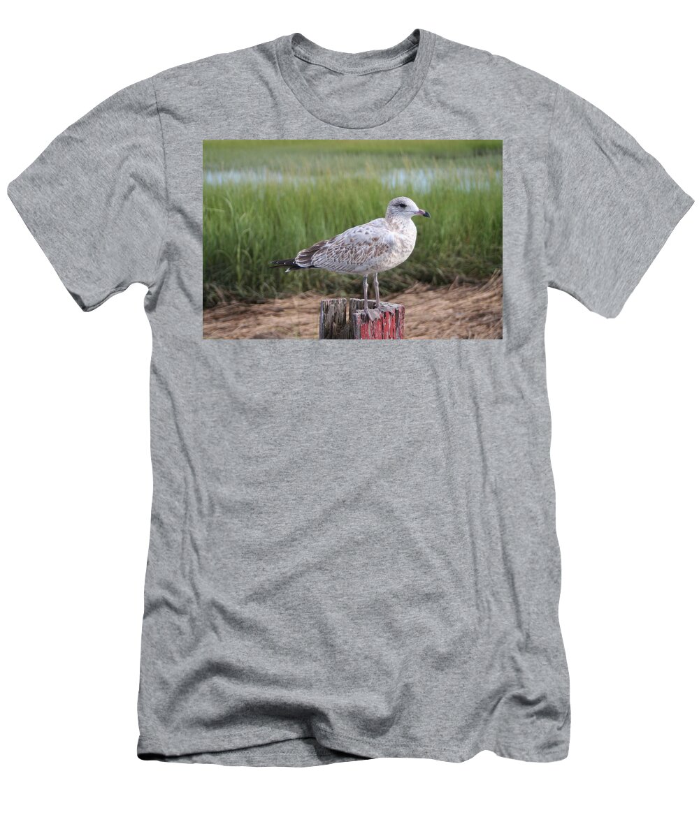 Nautical T-Shirt featuring the photograph Seagull by Karen Silvestri