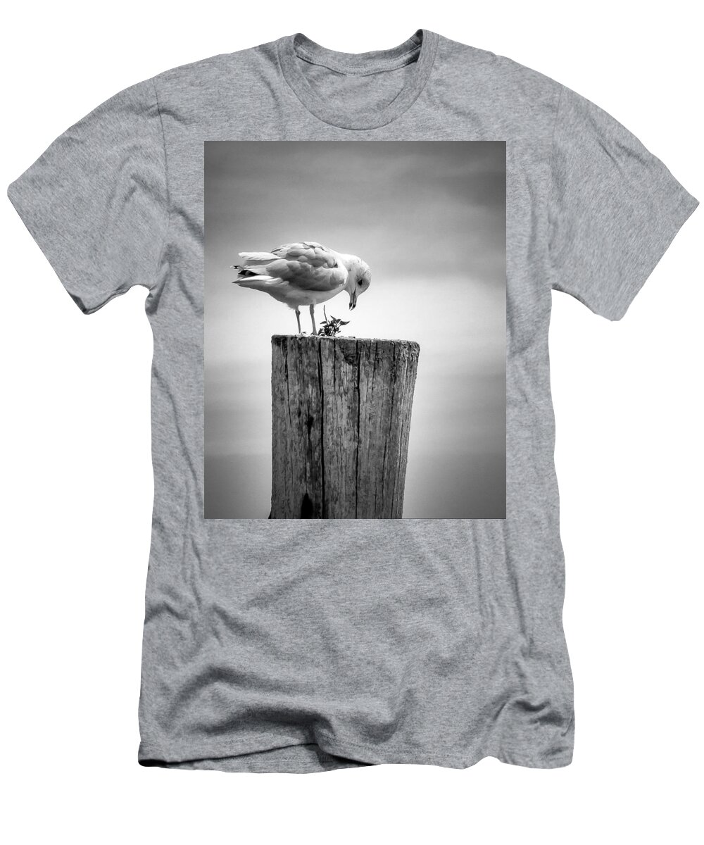 Seagull T-Shirt featuring the photograph Seagull on Pier by Brian Caldwell