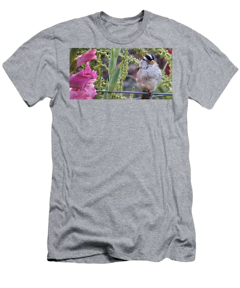 Bird T-Shirt featuring the photograph Seattle Bird by Natalie Rotman Cote