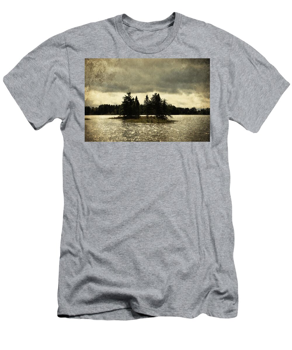 Evie T-Shirt featuring the photograph Seney Coffee Black by Evie Carrier