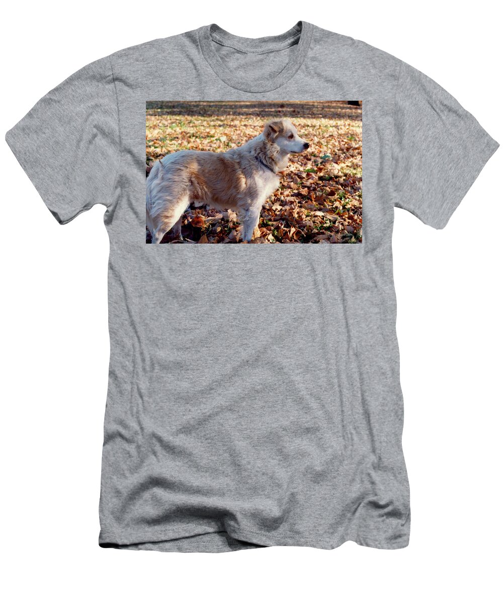 Dog T-Shirt featuring the photograph Shirley by Mary Ann Leitch