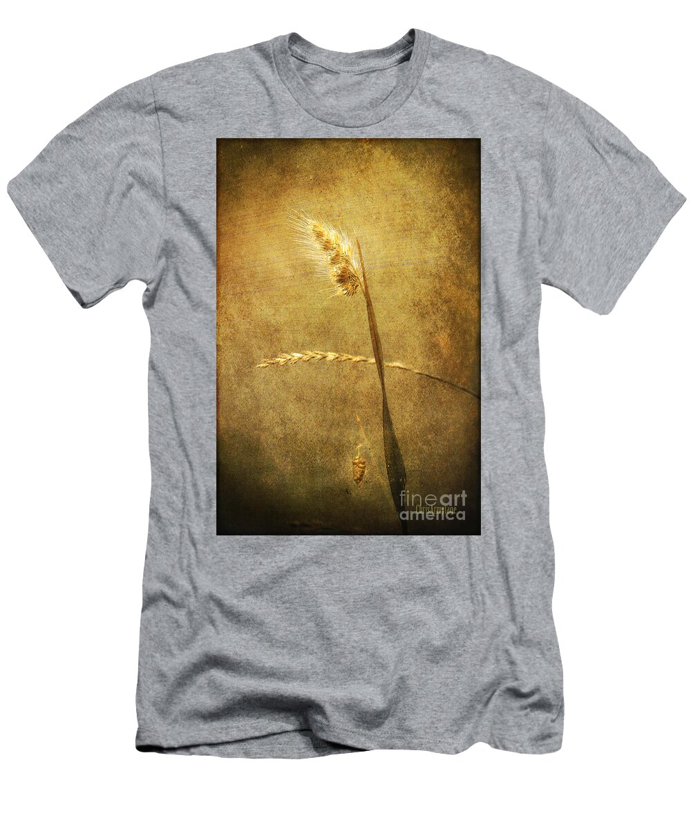 Three T-Shirt featuring the photograph Sighing of Changes by Chris Armytage