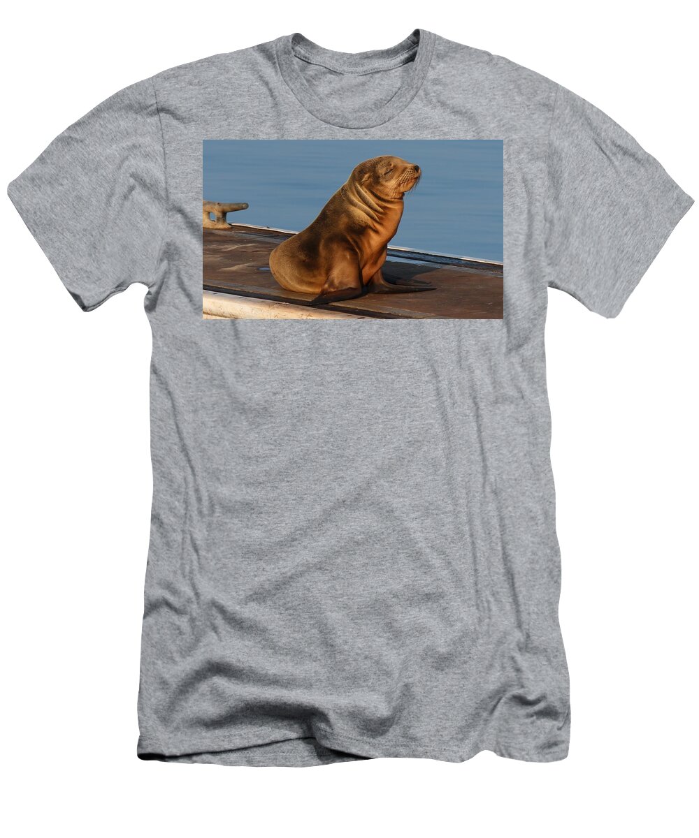 Wild T-Shirt featuring the photograph Sleeping Wild Sea Lion Pup by Christy Pooschke