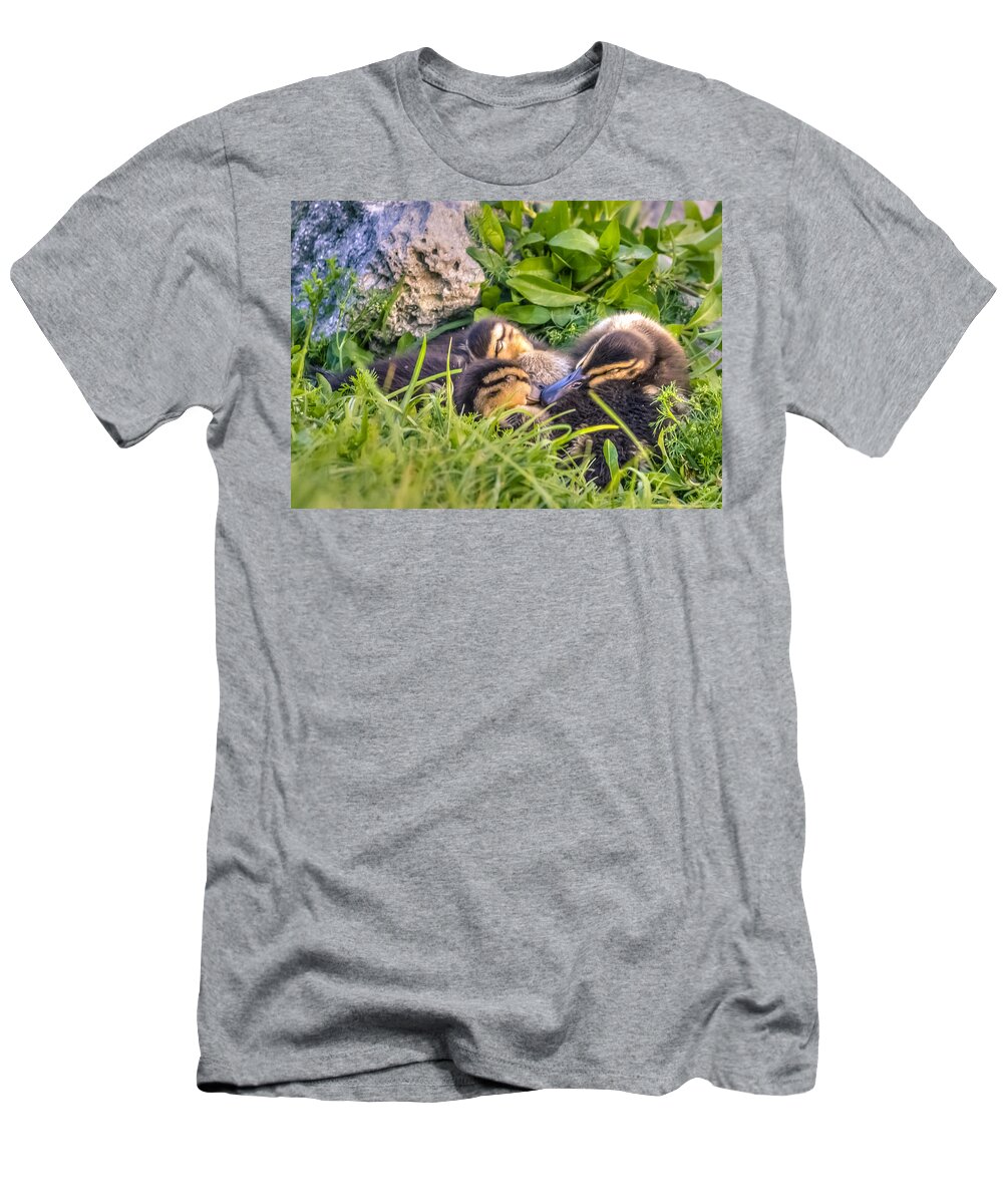 Adorable T-Shirt featuring the photograph Sleepy Ducklings by Rob Sellers