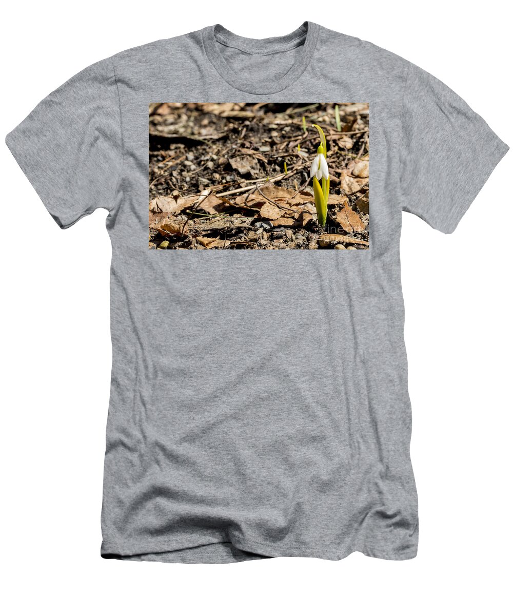 Snowbell T-Shirt featuring the photograph Snow Bell Spring Has Sprung by Brad Marzolf Photography