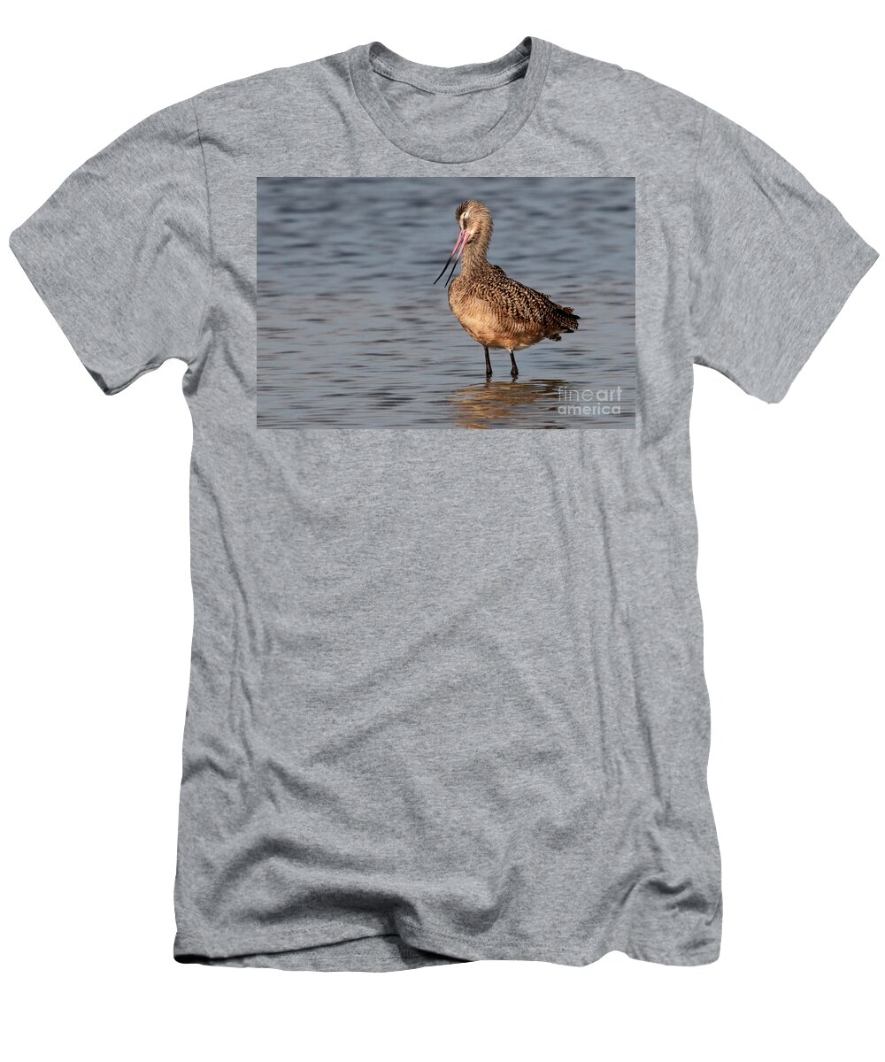 Merbled Godwit T-Shirt featuring the photograph So Cute - Marbled Godwit by Meg Rousher