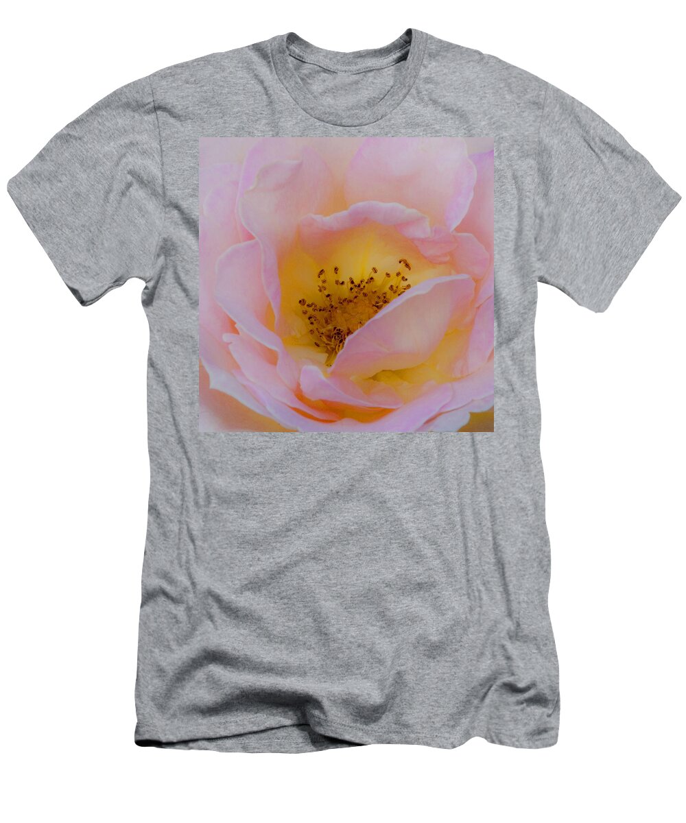 Shabby Chic T-Shirt featuring the photograph Softly Rose by Theresa Tahara