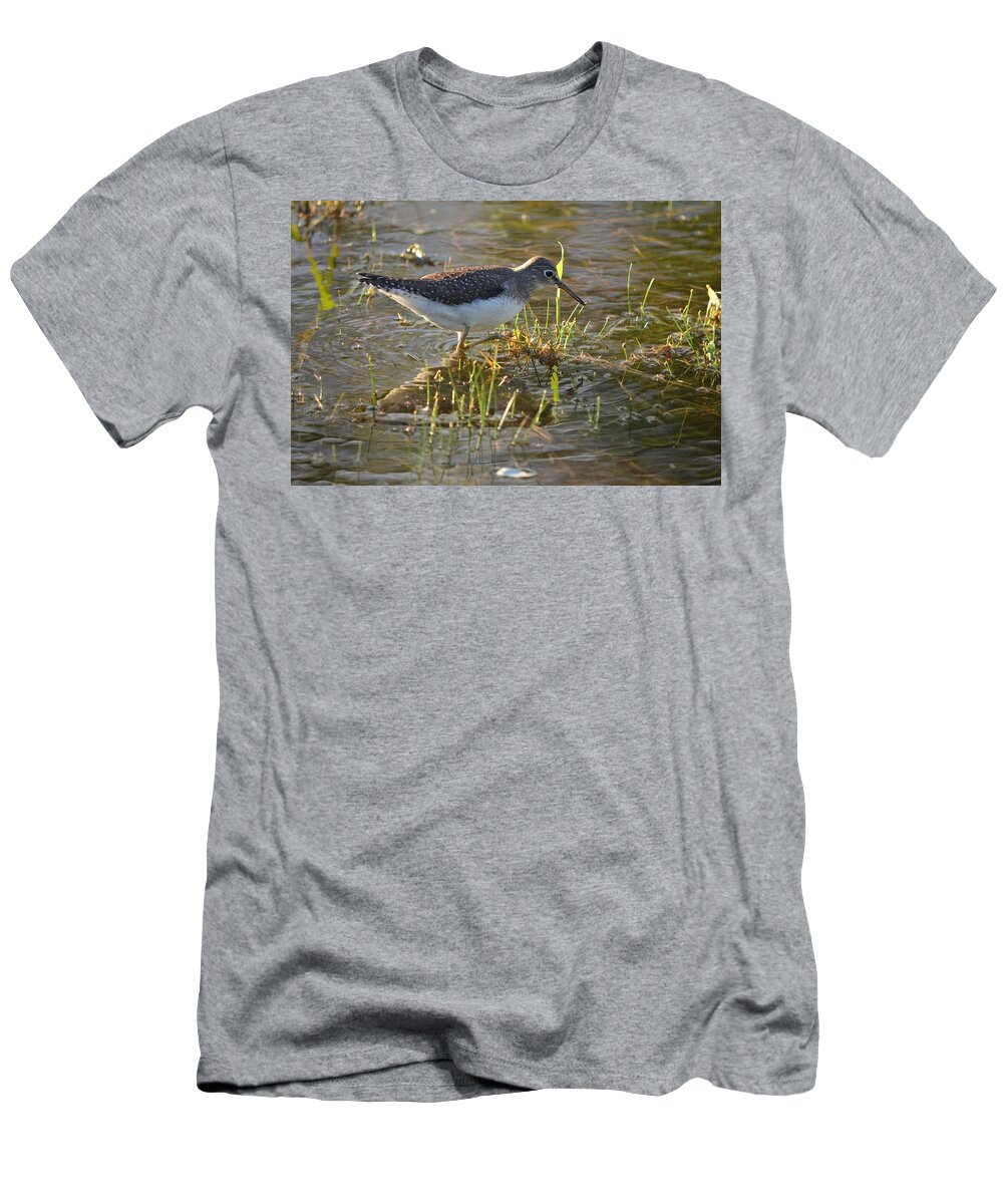 Solitary Sandpiper T-Shirt featuring the photograph Solitary Sandpiper 2 by James Petersen