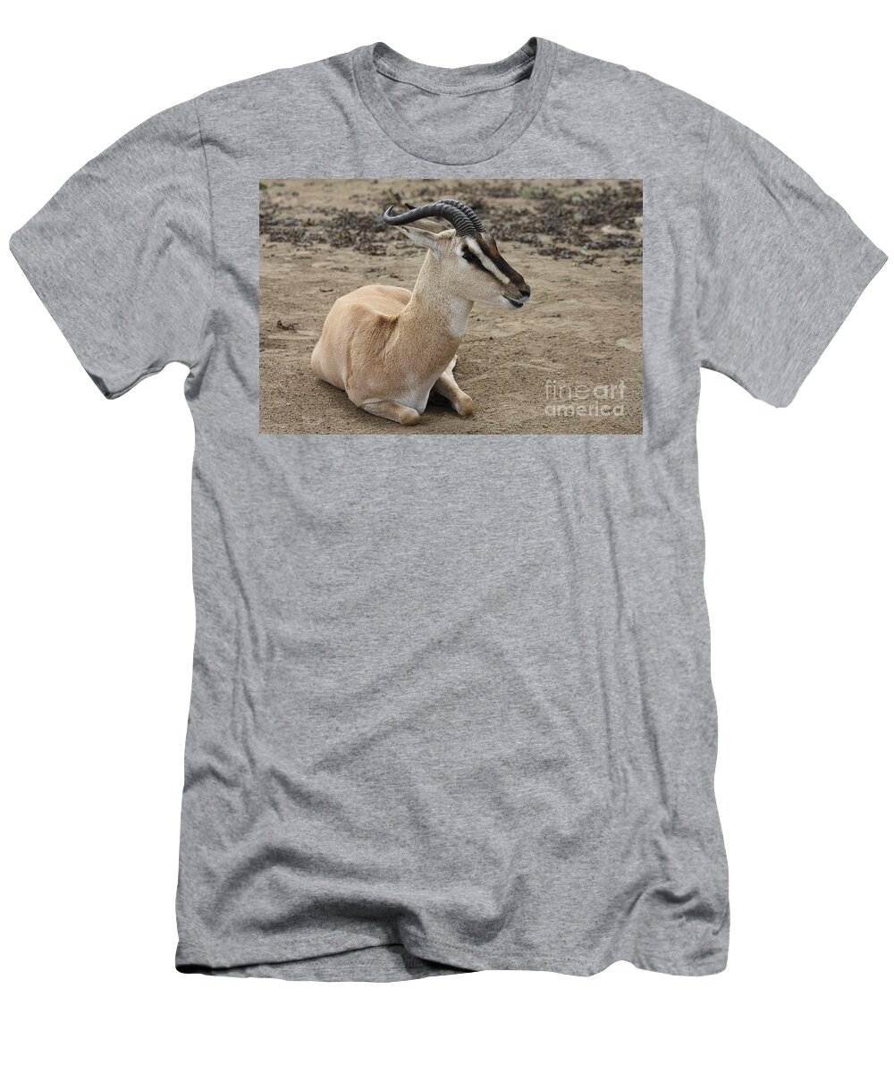 Spiral Horned Antelope T-Shirt featuring the photograph Spiral Horned Antelope by John Telfer