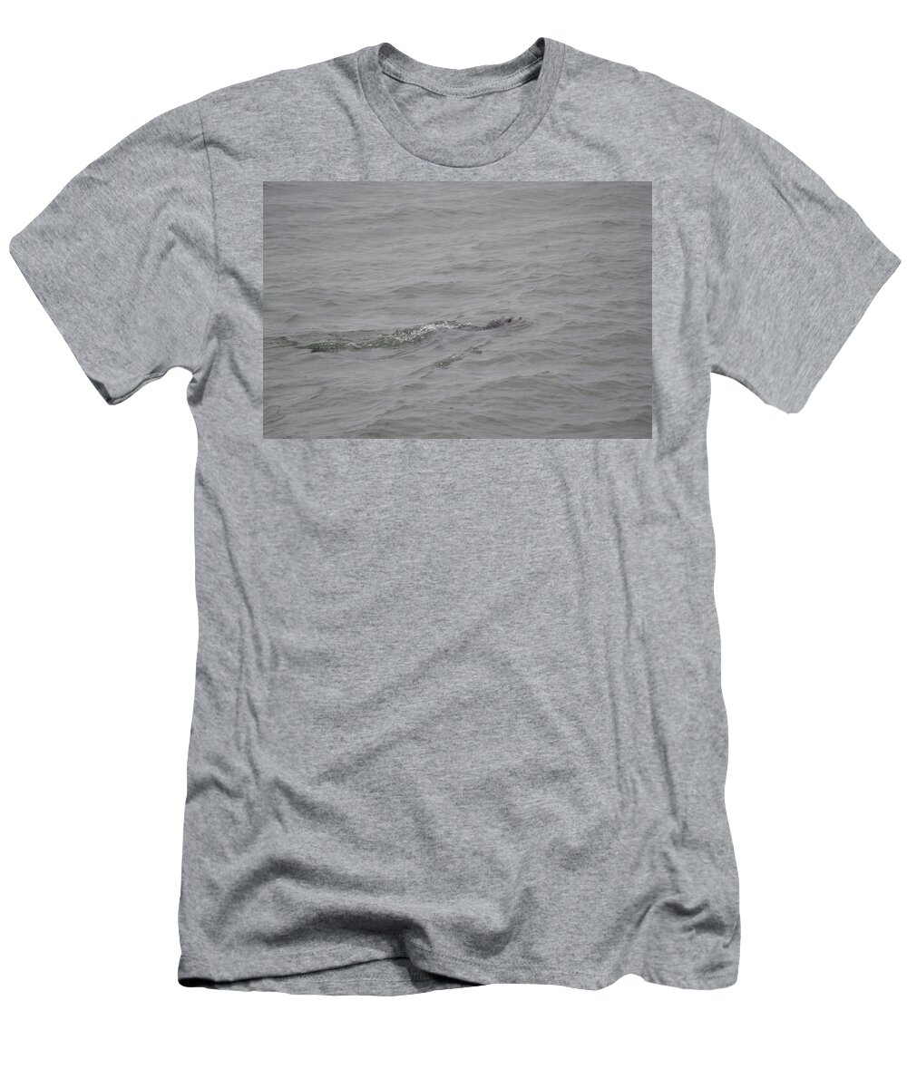 Spotted Seal T-Shirt featuring the photograph Spotted Seal by James Petersen
