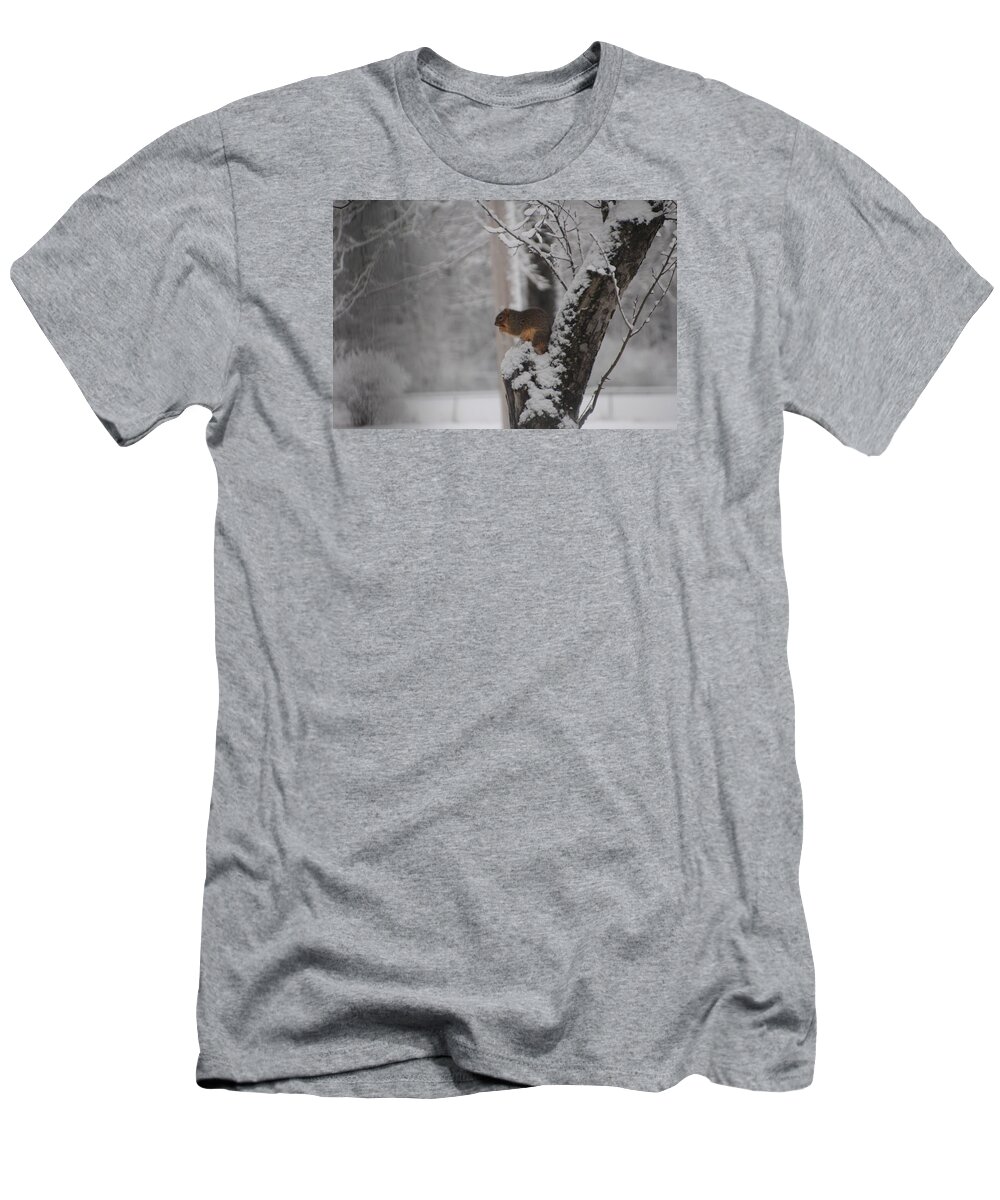Squirrel T-Shirt featuring the photograph Squirrel in Winter by Valerie Collins