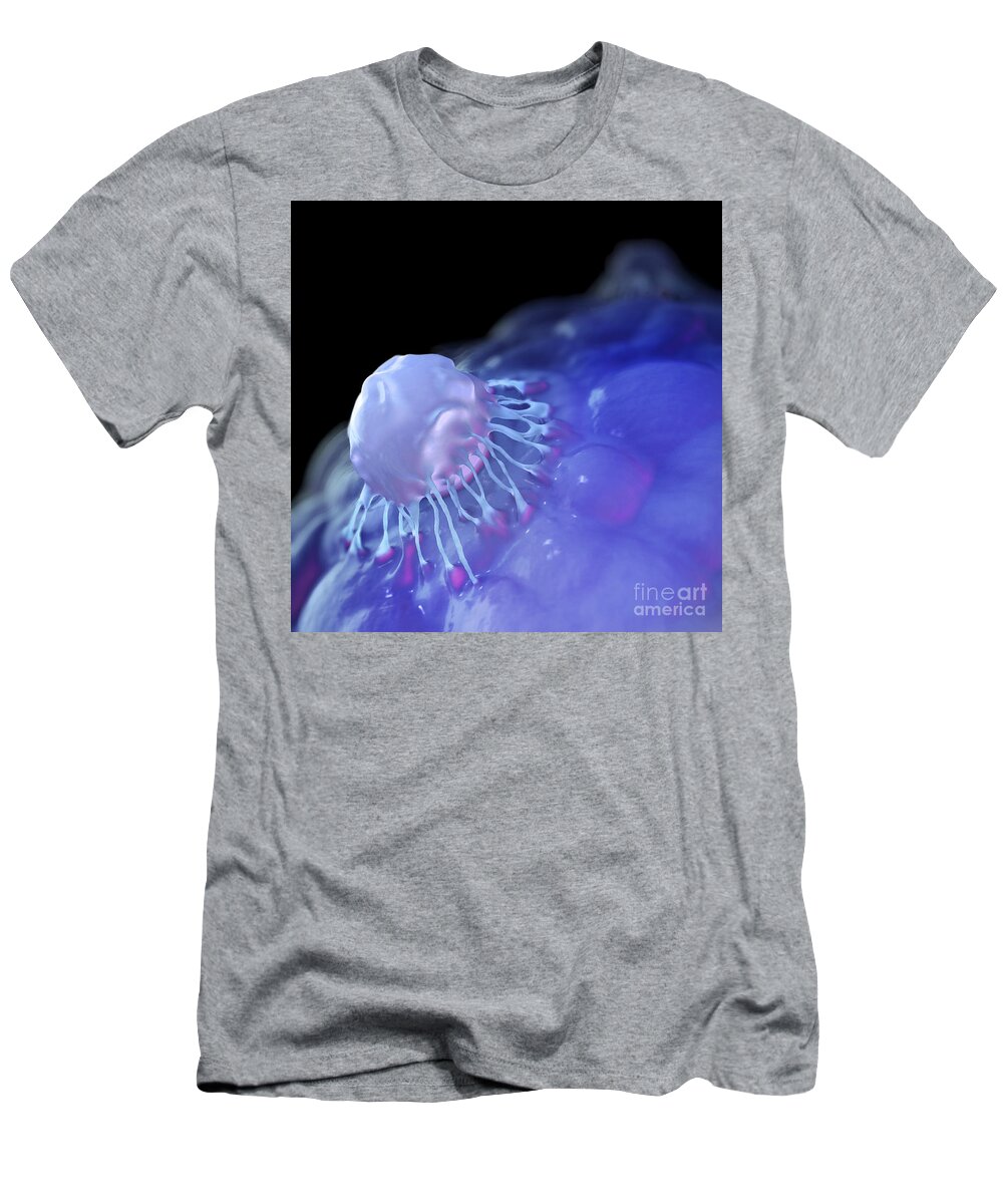 Stem Cell T-Shirt featuring the photograph Stem Cells by Science Picture Co