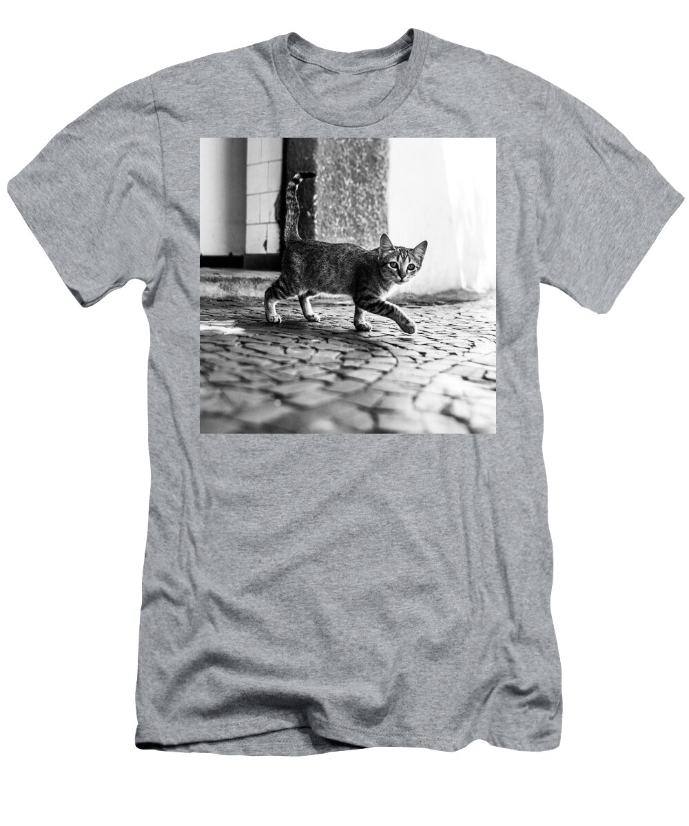 Brazil T-Shirt featuring the photograph Street Cat, Brazil by Aleck Cartwright