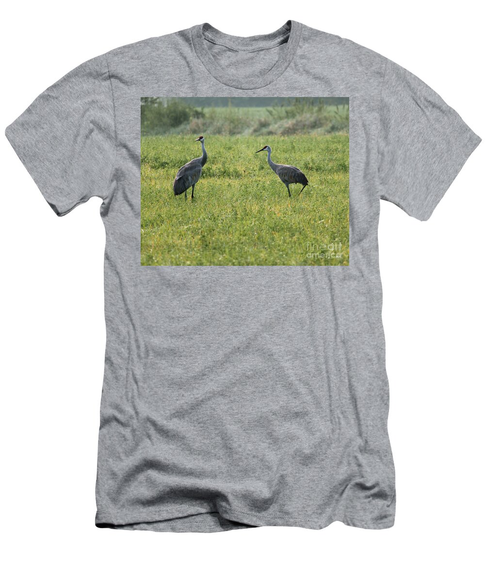 Sandhill Crane T-Shirt featuring the photograph Strolling Cranes by Debbie Hart