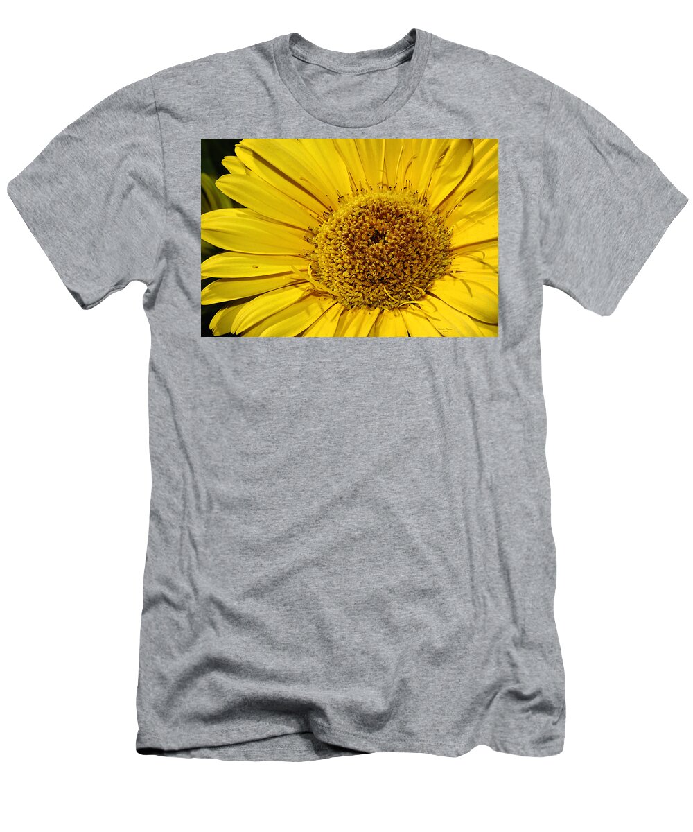 Flower T-Shirt featuring the photograph Sunburst by Phyllis Denton