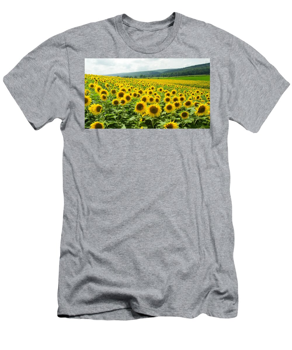 Sunflowers T-Shirt featuring the photograph Sunflower Field by Gary Wightman