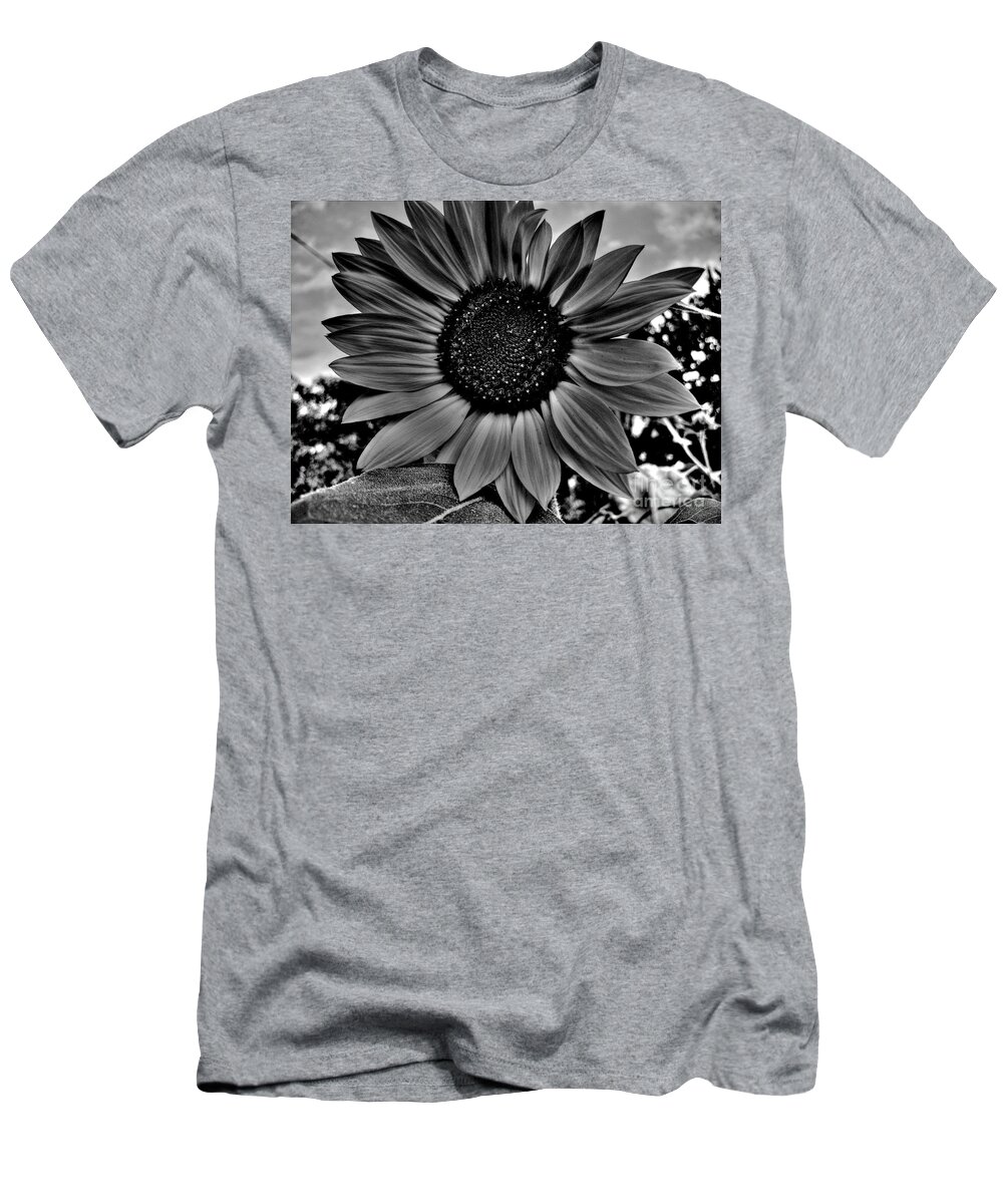 Sunflower T-Shirt featuring the photograph Sunflower In Black And White by Nina Ficur Feenan