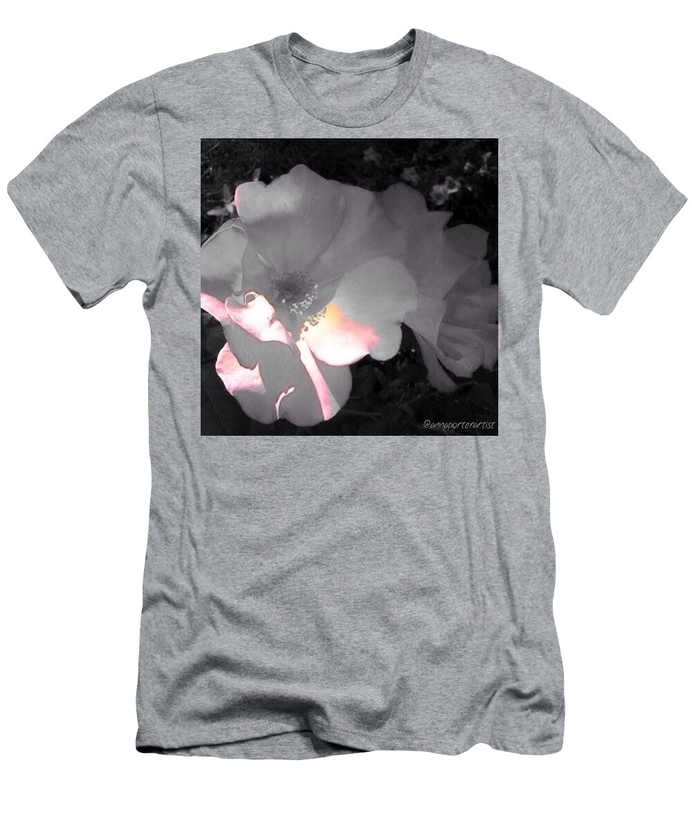 Annasgardens T-Shirt featuring the photograph Sunlight On Roses For The Black And by Anna Porter