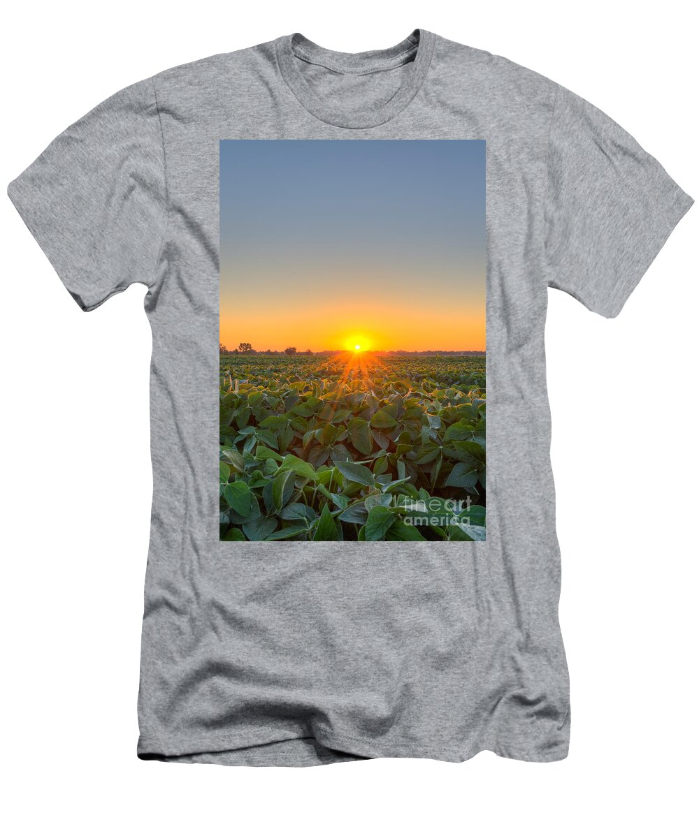 Michael Versprill T-Shirt featuring the photograph Sunrise over a field by Michael Ver Sprill