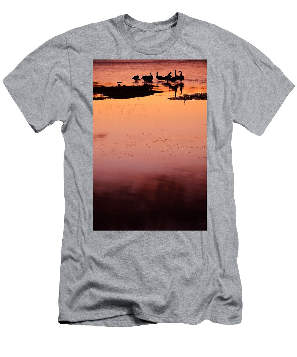 Marsala Art T-Shirt featuring the photograph Sunset Discourse- Gorton Pond Warwick Rhode Island by Lourry Legarde