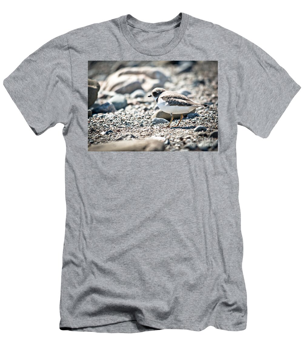  T-Shirt featuring the photograph Sunshine on the Shorebird by Cheryl Baxter