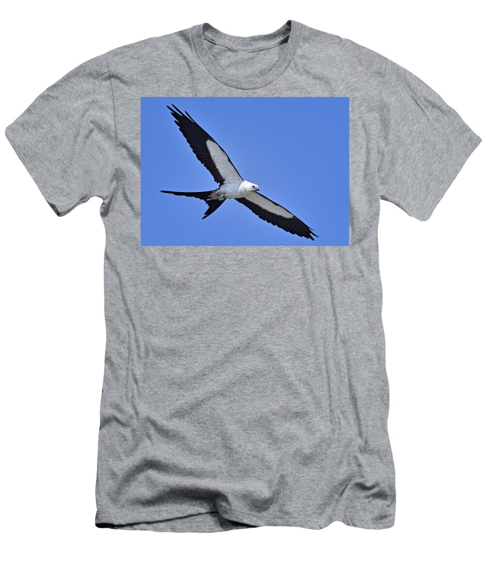 Dodsworth T-Shirt featuring the photograph Swallow-tailed Kite by Bill Dodsworth