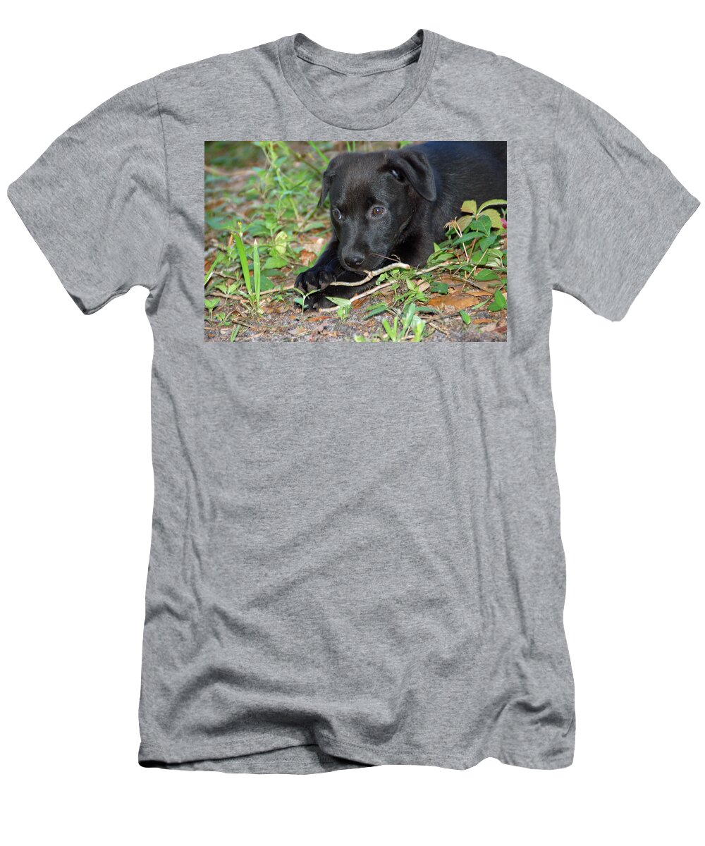 Puppy T-Shirt featuring the photograph Sweet Puppy by Aimee L Maher ALM GALLERY