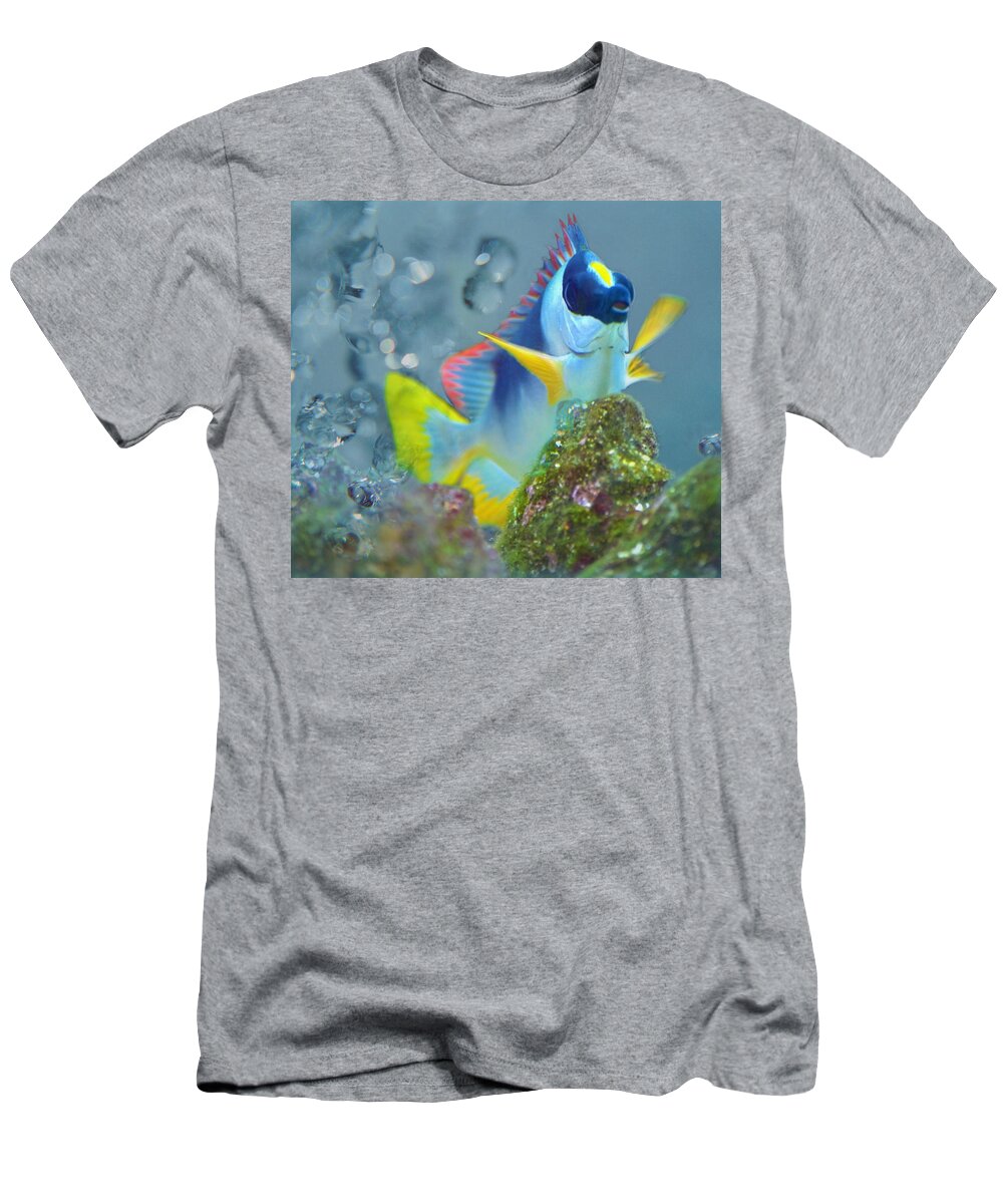 Fish T-Shirt featuring the photograph Swimming In A Crystal Sea by Sandi OReilly
