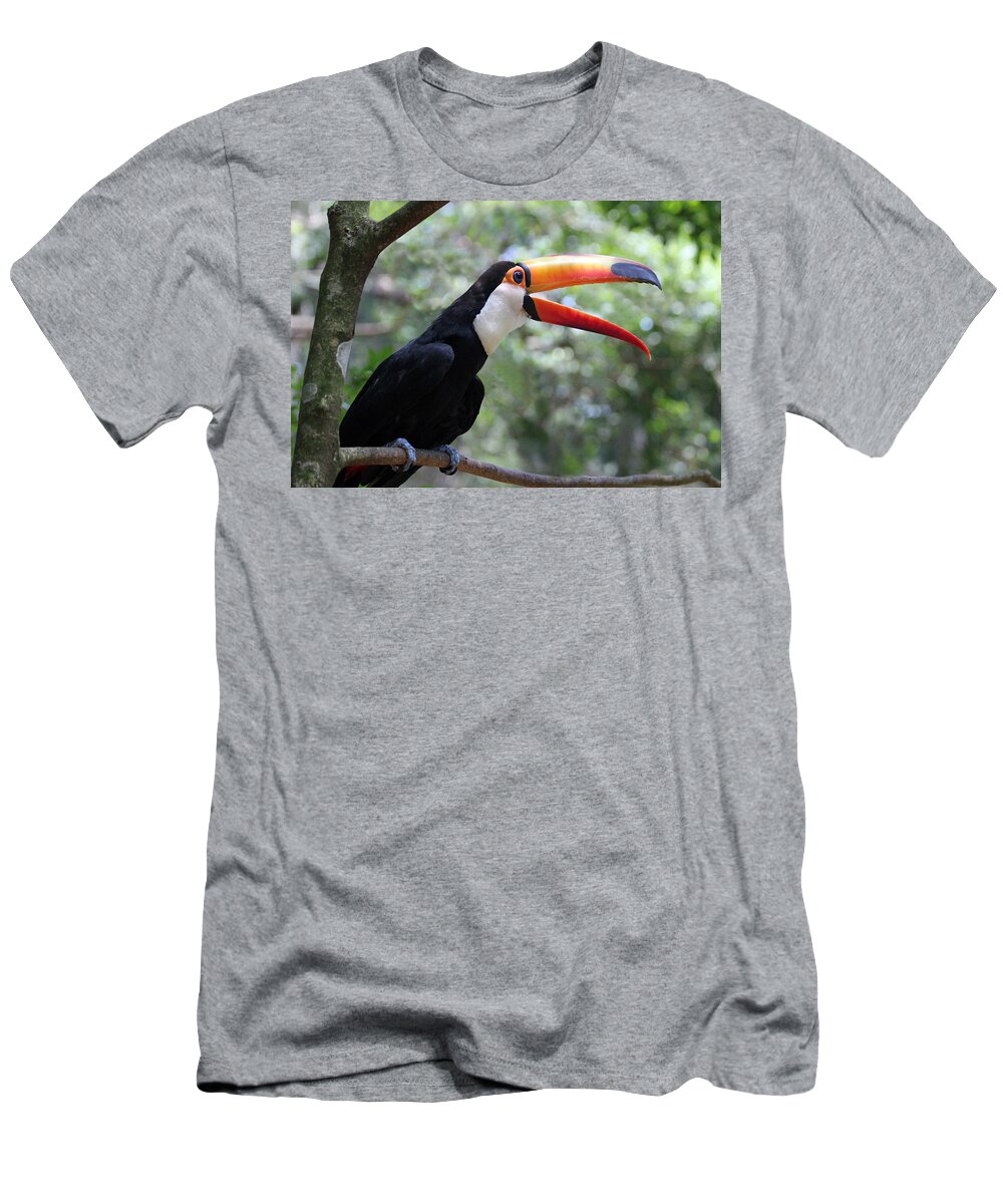 Toucan T-Shirt featuring the photograph Talkative Toucan by Ginny Barklow