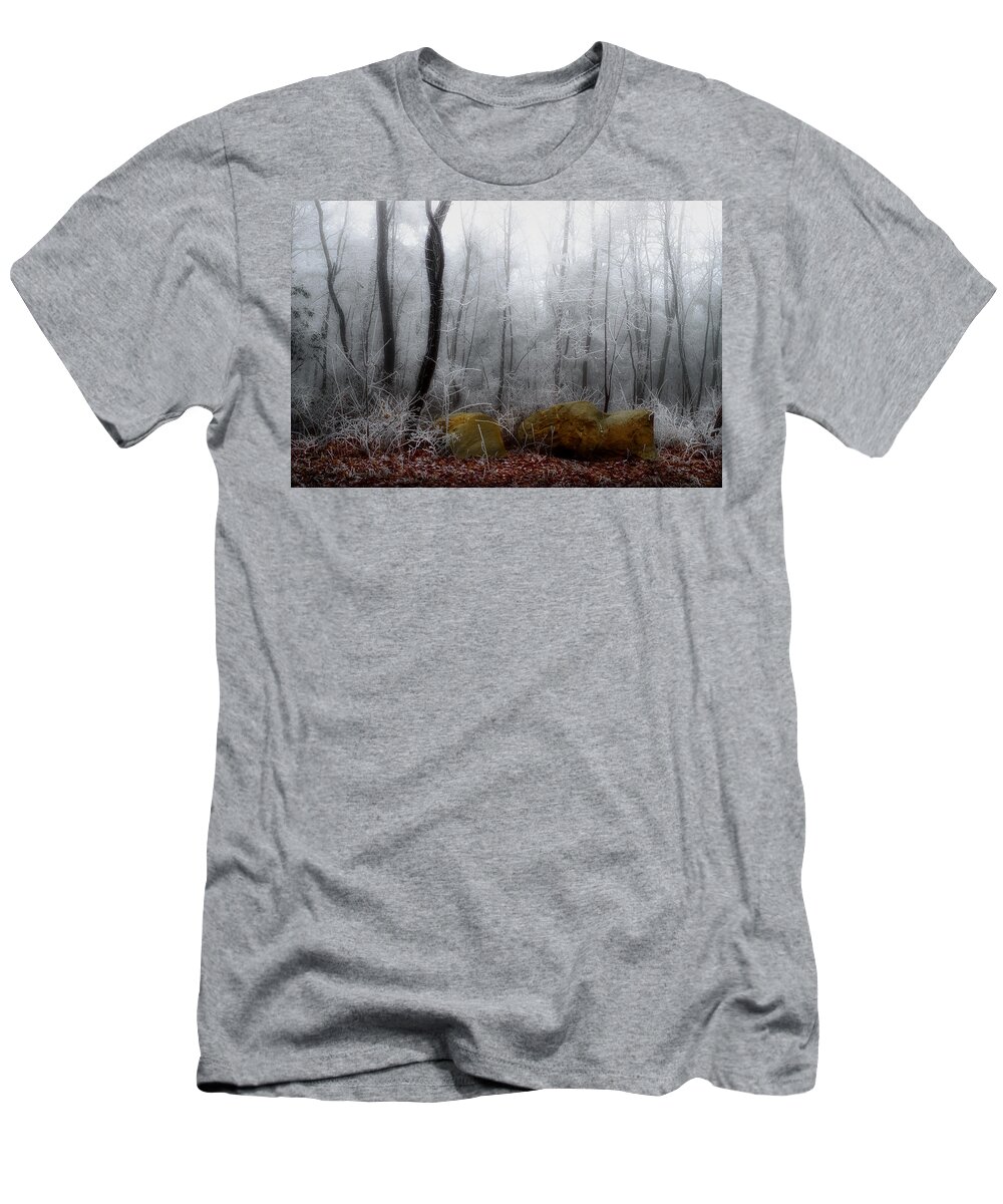 Landscape Frost T-Shirt featuring the photograph Tennessee Mountain Frost by Michael Eingle