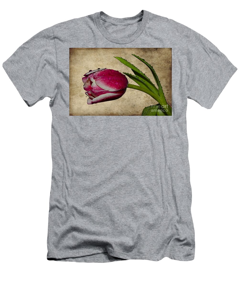 Tulip T-Shirt featuring the photograph Textured tulip in the rain by Steev Stamford