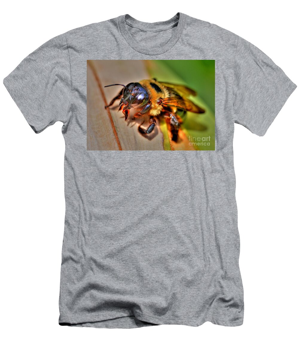 Bee T-Shirt featuring the photograph The Carpenter Bee by Kathy Baccari