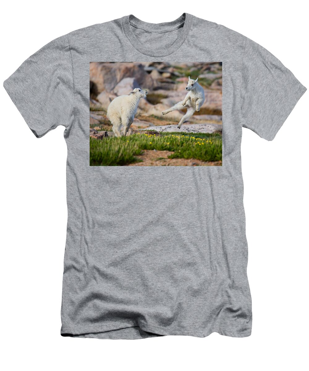 Baby Goat; Mountain Goat Baby; Dance; Dancing; Happy; Joy; Nature; Baby Goat; Mountain Goat Baby; Happy; Joy; Nature; Brothers T-Shirt featuring the photograph The Dance of Joy by Jim Garrison