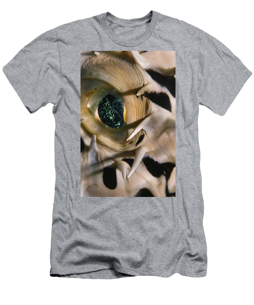 Art T-Shirt featuring the photograph The Eye Of A Pufferfish by Sandra Edwards