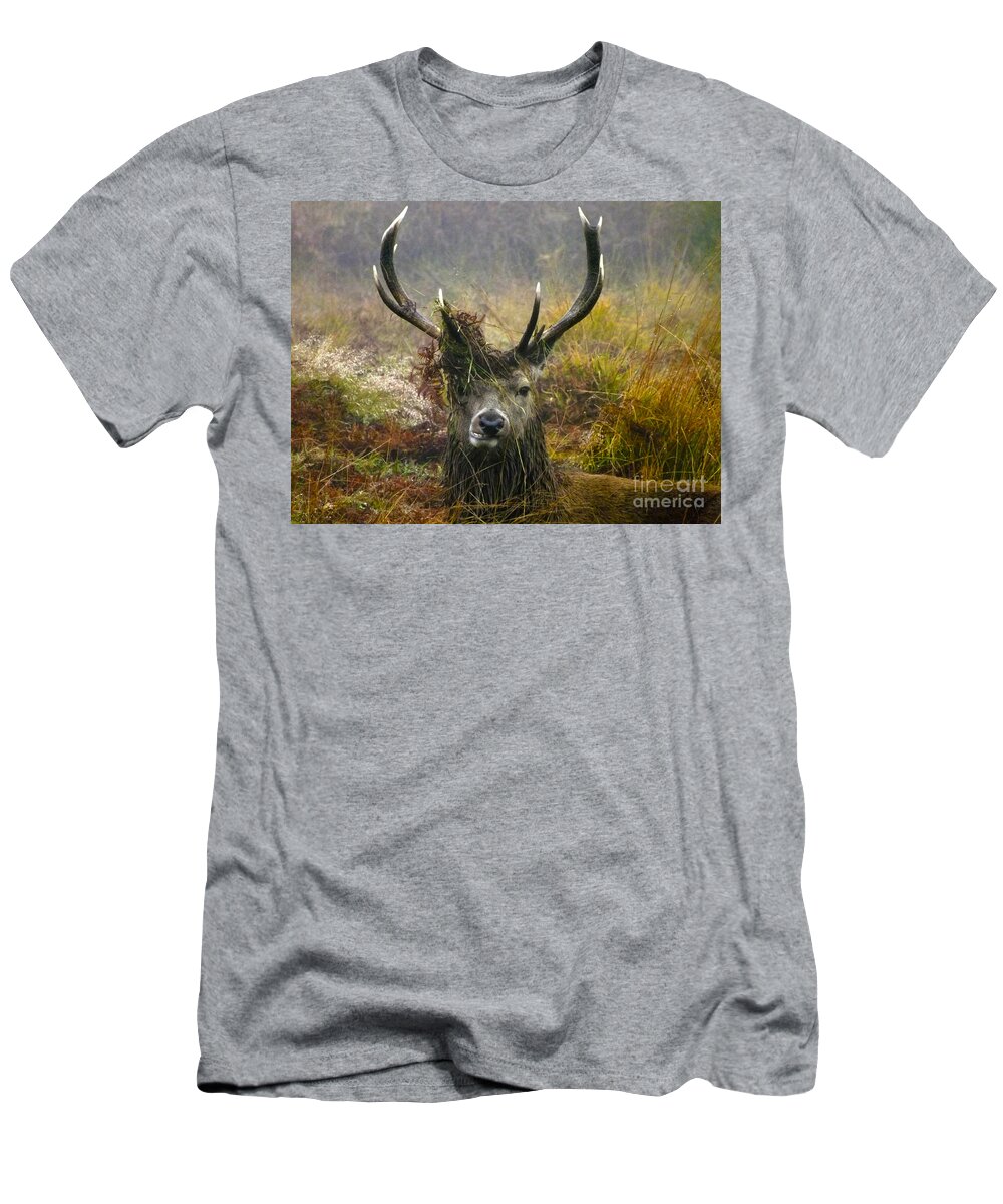 Deer T-Shirt featuring the photograph Stag Party The Series The Morning After by Linsey Williams