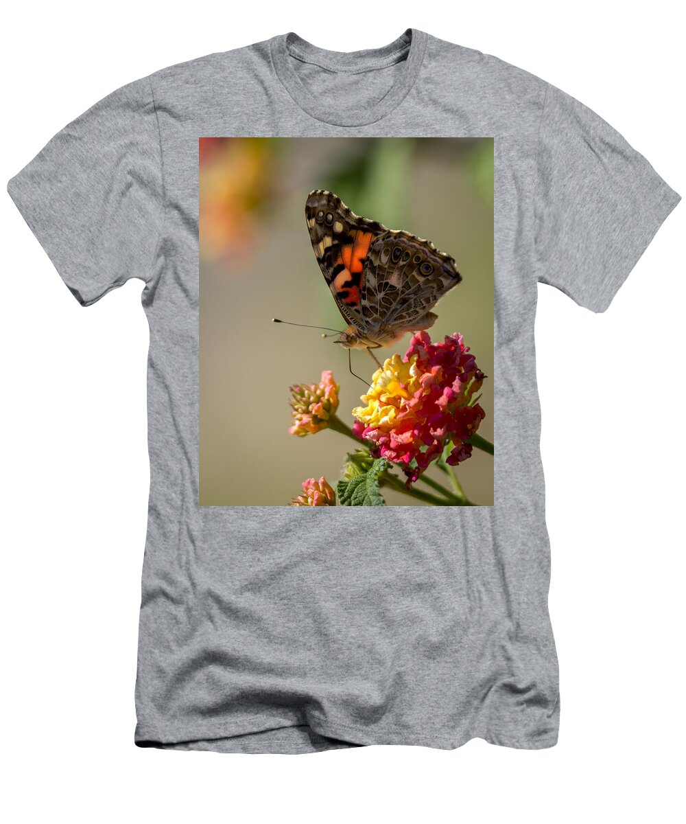 The Painted Lady T-Shirt featuring the photograph The Painted Lady by Ernest Echols