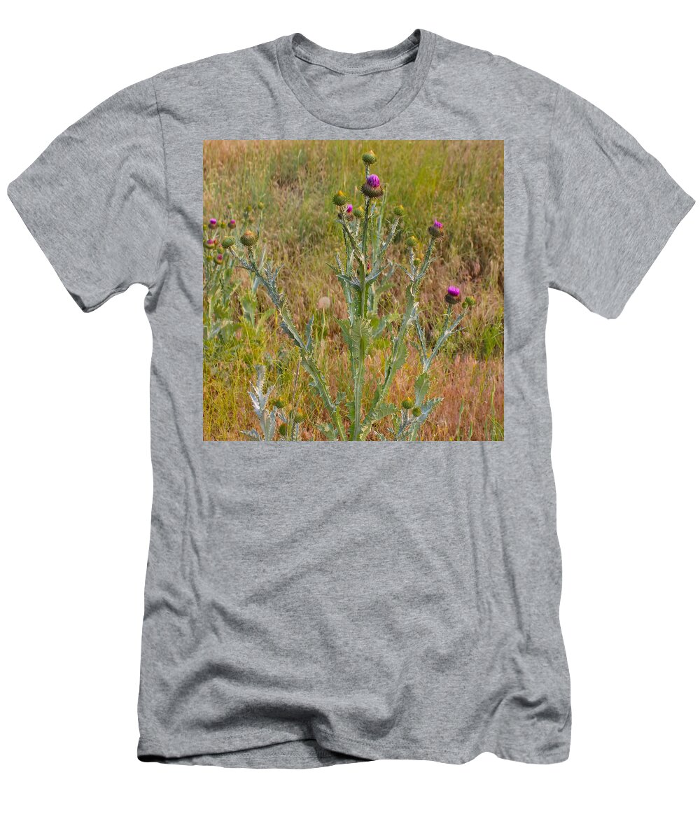 Flower T-Shirt featuring the photograph Thistle by Cathy Anderson