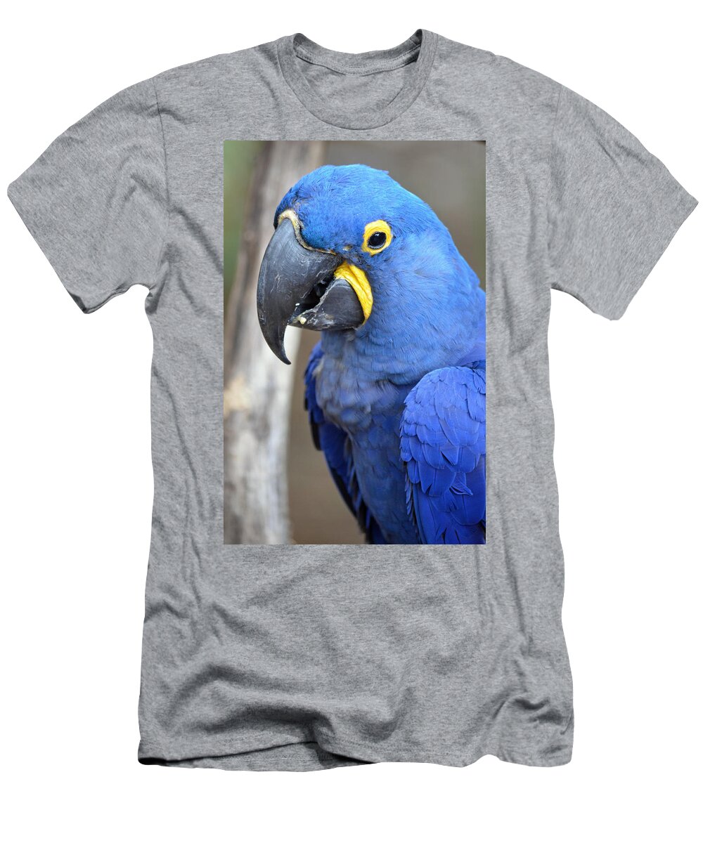 Macaw T-Shirt featuring the photograph Thor the Macaw by Richard Bryce and Family