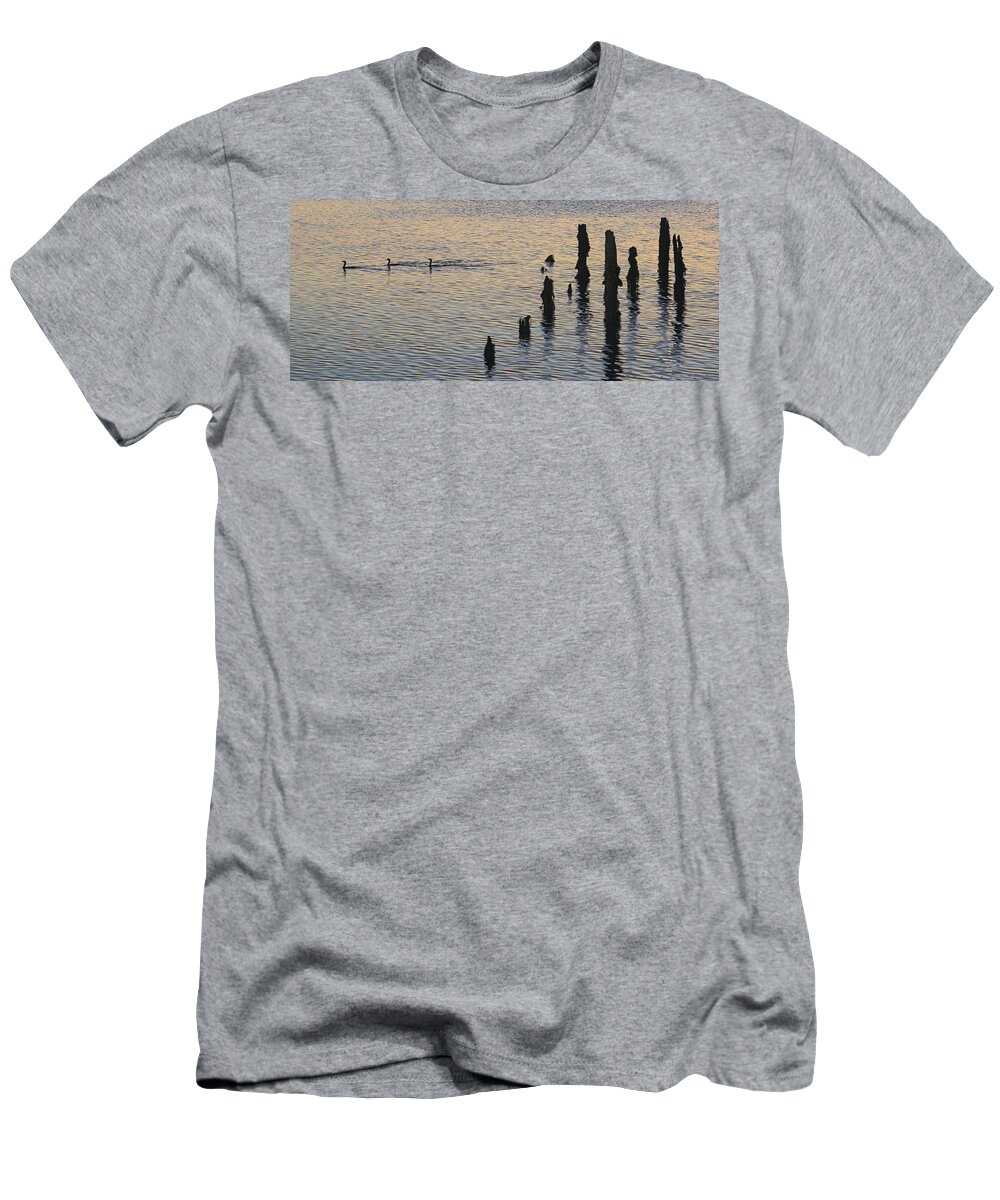 Cormorants T-Shirt featuring the photograph Three Cormorants by Marty Saccone