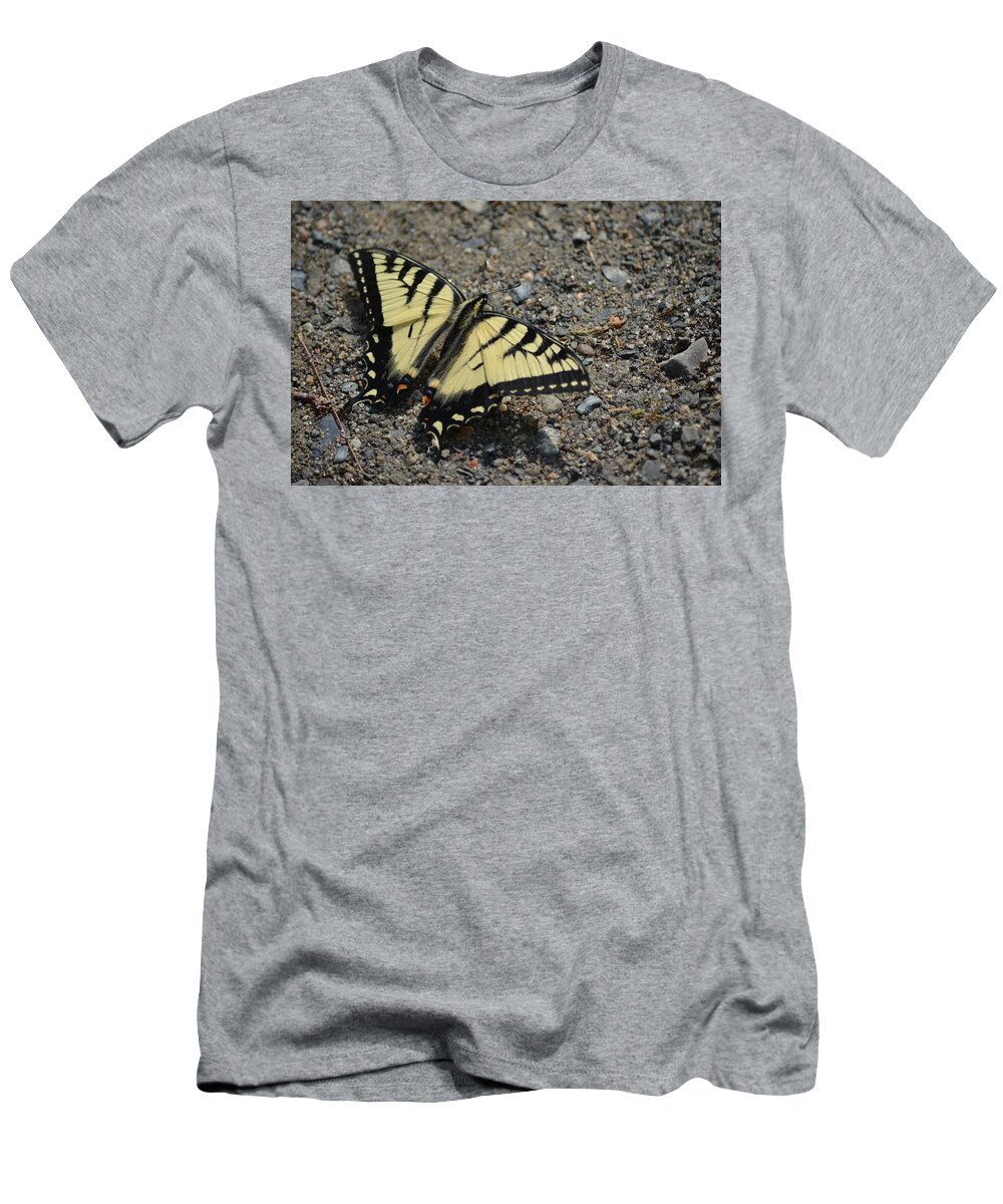 Maine T-Shirt featuring the photograph Tiger Swallowtail by James Petersen