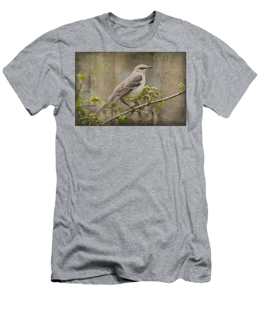 Mimus Polyglottos T-Shirt featuring the photograph To Still A Mockingbird by Kathy Clark